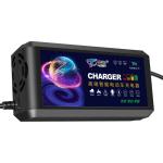 OTP Protection 3A Battery Charger for Electric Vehicle Lead Acid Battery 12V 24V