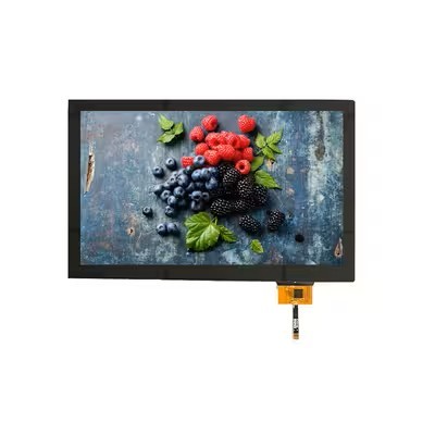10.1 Inch TFT LCD Touch Screen 1024*600 LVDS Interface Display For Industrial Applications