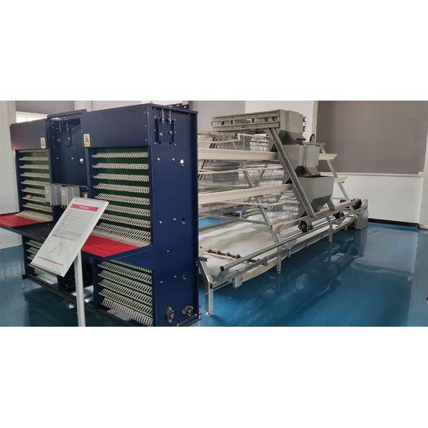automatic egg collection Hot Selling A Frame Automatic Chicken Layer Cage Poultry Cages Hot Galvanized Steel