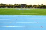 SGS Certificate Artificial Turf Grass Synthetic Carpet Football Court