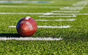 Wholesale PE Material Football Artificial Turf Baseball Field Artificial Turf For Green Residential Area from china suppliers