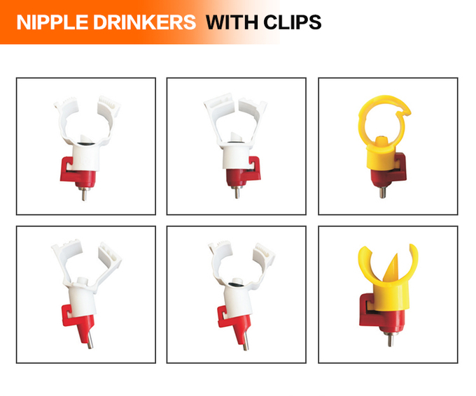Poultry Automatic Chicken Drinking System Nipple Drinker Supplier 9