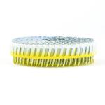 FAP Collated Coil Nails Hot Dipped Galvanized 2.5 x 32mm For Thin Metal