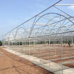 Strong Structure Heavy Duty Plastic Greenhouse / Plastic Tomato Greenhouse