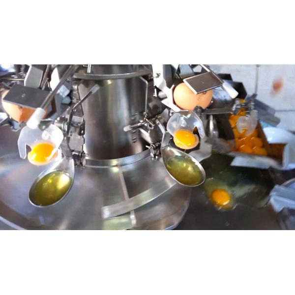 Egg Breaking Machine With Cup Separation Function For Yolk White Full Egg Product