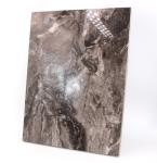 Furniture E1 High Gloss Uv Coated Board 1220x2440x16Mm