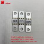 Short Circuit Protection 80A 125VDC Ceramic Automotive Fuses With High Breaking