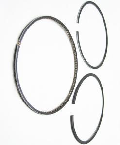 Wholesale Corrosion Resisitng Piston Ring For Daf Dieselmotor2.51 AD4236 98.48mm from china suppliers