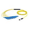 Buy cheap MPO Fan Out Cable MTP F - SC OM3 12/24/48 Core Fiber Optic Patchcord from wholesalers