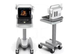 Wholesale B ZOOM Portable Color Doppler Ultrasound Scanner Machine USB Port from china suppliers