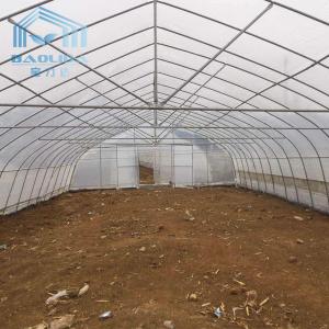 Wholesale Snow Resistant Large Pointed Roof Tunnel Plastic Greenhouse No Soldering from china suppliers