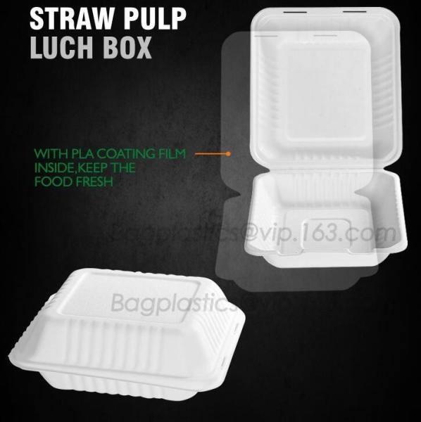 lunch box containers for restaurant, PLA Lunch Box with Lid For Kids, PLA