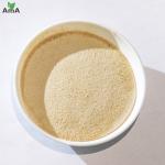 Compound Amino Acid Powder 45% For Plants Foliar Spray Flushing Drip Irrigation