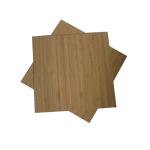 FSC 1 Ply Vertical 9mm Solid Bamboo Panel For Furniture