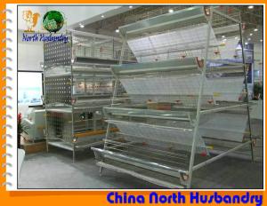 Wholesale Poultry equipment for chicken farming Tecno Poultry Equipment from china suppliers