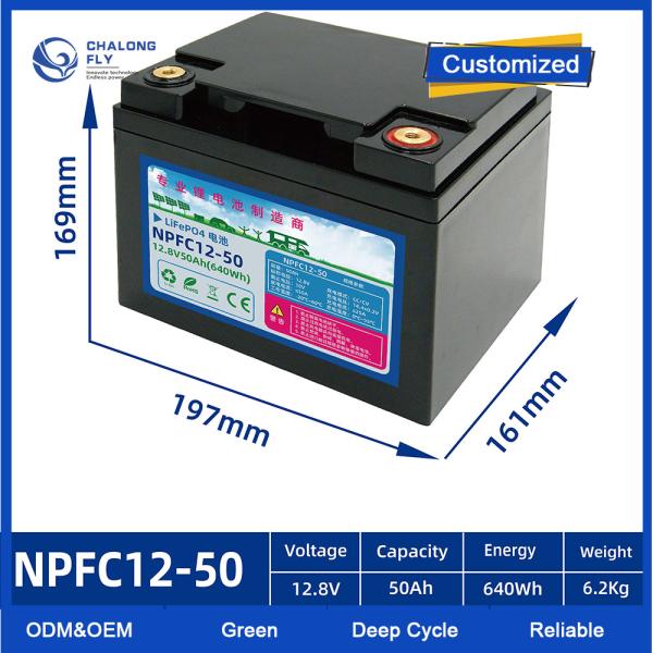 OEM ODM LiFePO4 lithium battery RV battery 12V 24V 100Ah 150Ah 200Ah lithium