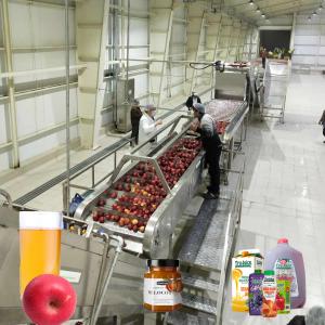 Wholesale Water Saving Energy Saving Apple Jam Production Line Turnkey Project from china suppliers