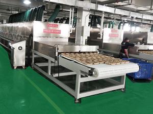 Wholesale 1170mm Width 85KW Microwave Dehydrator For Pulpmolding from china suppliers