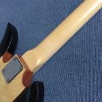New style high-quality custom 5 strings electric bass guitar, Initiative