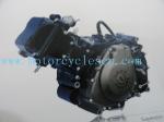 174MN 3W-300 174MP350 Single cylinder Steaming water cool Three Wheels