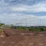 Affordable 6x15m PE Film Tunnel Greenhouse for Farming Applications