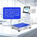 300KG Carbon Steel Medical Scale Industrial Weighing System for Pharmaceutical