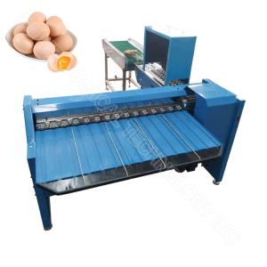 Wholesale Egg Classification Machine Egg Grader Machine Egg Sorting Weight Sizing 4000/5400pcs/H from china suppliers