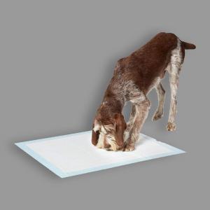 Wholesale Household Lightweight Eco Friendly Hygiene Wee Wee Pads from china suppliers