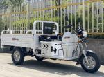 DAYANG Classical Light Loading Truck Cargo Tricycle 150cc Longer Three Wheel