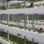 Transparent Large Commercial Greenhouse Agricultural Green House For Flowers