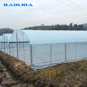 Wholesale 150 Micron PE Film Agricultural Greenhouse For Vegetable Fruit Growing from china suppliers