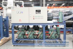 Wholesale 2~8ºC 36~46ºF Cold Room Compressor For AstraZeneca AZD1222 Storage from china suppliers