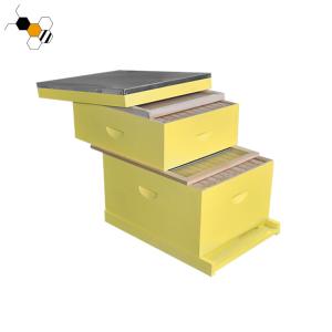 Wholesale 20mm Thickness Fir Painted Yellow Langstroth Bee Hive from china suppliers