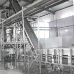 20TPD Sea Buckthorn Processing Fruit Juice Production Line
