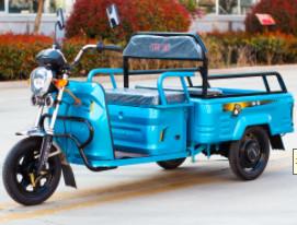 Wholesale 48V - 60V 500W Adult Small Electric Cargo Tricycle Scooter Family Use from china suppliers