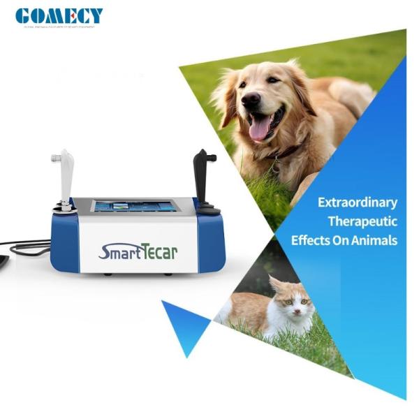 Portable High-Performance Radiofrequency Tecar Therapy Machine for Horse Sports