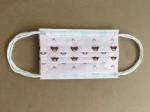 GBT32610-2016 Cleanroom Children's Disposable Face Masks