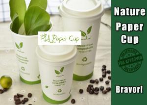 Wholesale Single Wall Eco Paper Coffee Cups 8 Oz White Color Environmental Friendly from china suppliers