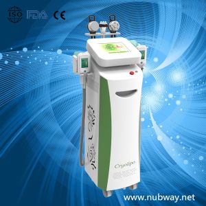 Wholesale Newest amazing result cool cryolipolysis machine to lose weight from china suppliers
