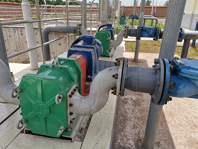 Abrasion Resistant Rotary Lobe Vacuum Pump Practical Anti Corrosion