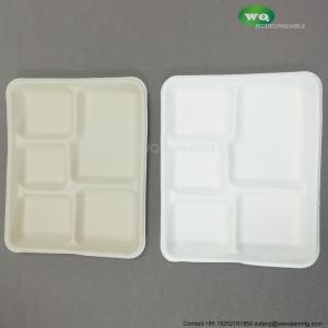 Wholesale 100% Biodegradable Sugarcane Pulp 5 Compartment Tray Natural Bagasse Eco-Friendly Compostable Melamine Dinner Plate from china suppliers