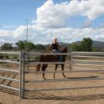1.6mm Round Galvanized Livestock Fencing 42mm 32mm OD