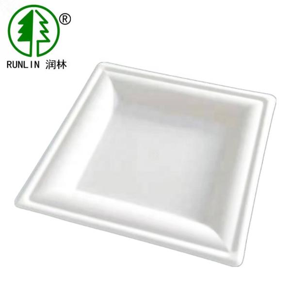 8 Inch Square Biodegradable Sugarcane Bagasse Plates Unbleached Birthday Party