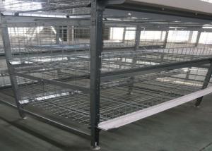 Wholesale Automatic Broiler Chicken Cage System U - Shaped Steel Fram Long Lifespan from china suppliers