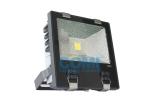 100-240VAC 70W Commercial LED Flood Lights Outdoor For Stage or Sculpture