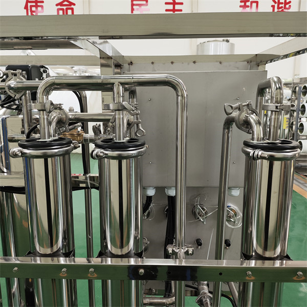 0.25 Tons Of Advanced Thoroughly Purified Water Reverse Osmosis Equipment