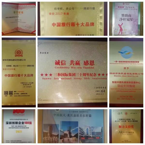 Polyester Lining Self-lock Zippers Cat Small Dog Carriers-Suitcase Set for Convenient Pet Travel