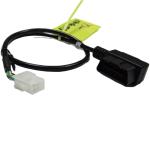 Professional Automotive Cable Assembly Manufacture Wholesale OBD Wire Harness