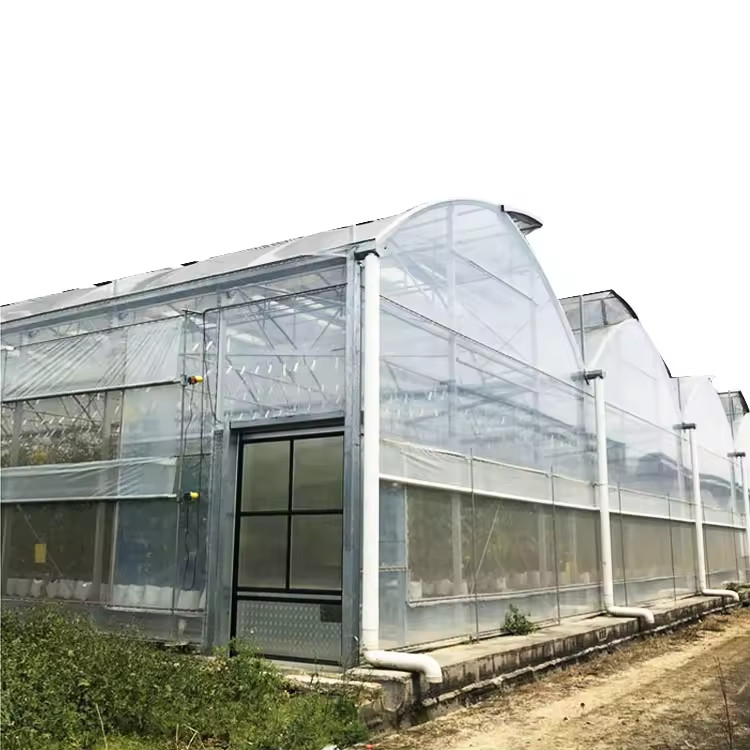 Greenhouse Tunnel Single-span Plastic Film for Agricultural Vegetables and Fruits