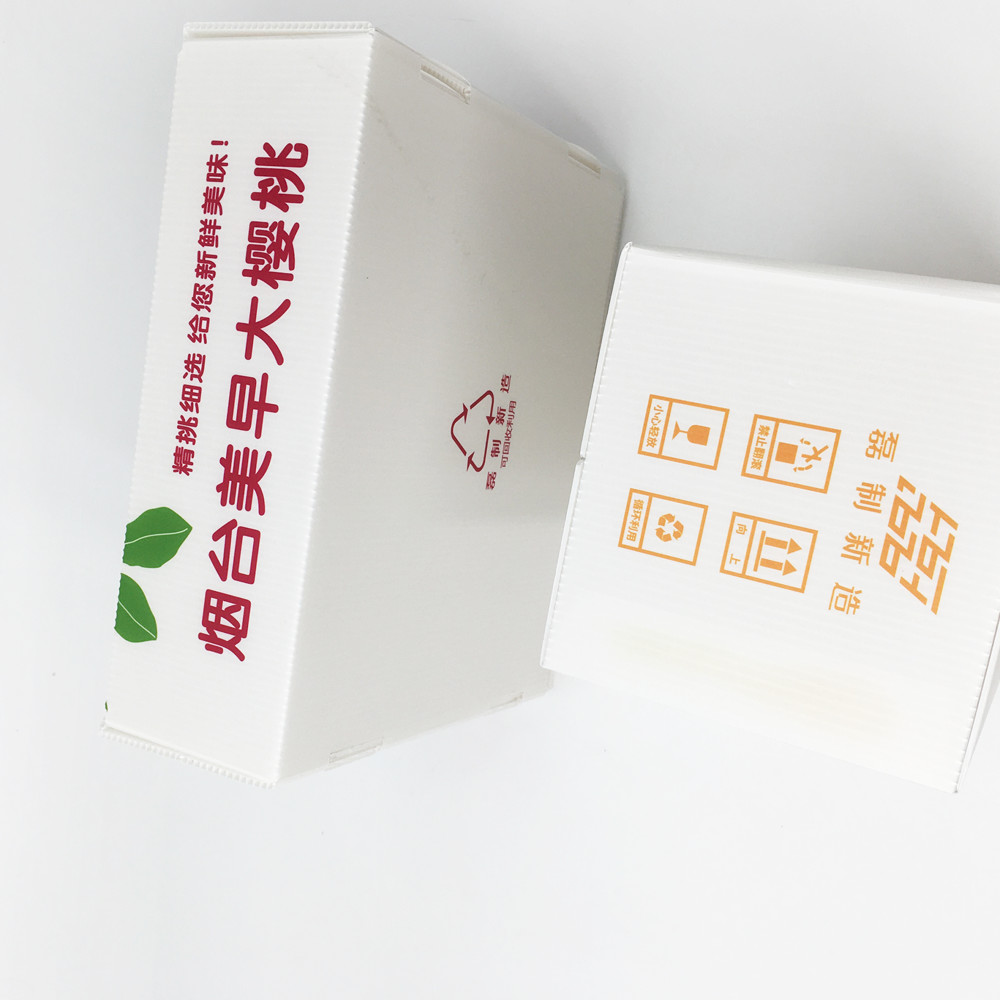 Abrasive Resistance Reusable Corrugated Plastic Boxes 2.5mm Agricultural Turnover Box